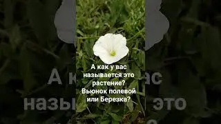 а как у вас называется?