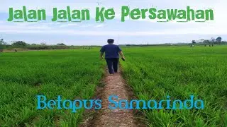 Jalan jalan ke Wisata Persawahan Betapus Samarinda || Tempat Wisata di Samarinda Kalimantan Timur