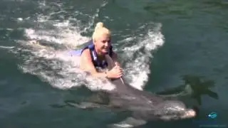 Delphinus XelHa
