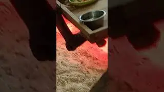 Игрунки размером с кулак