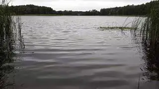 Jezioro w Osieku nad Wisłą