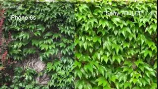 iPhone 6S VS Sony 7RII FE 1 4:35