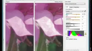 CoralDraw Tutorial 14- Working With Raw Images