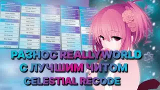 ВЗОРВАЛ ДОМЕРА С | CELESTIAL RECODE | CRACK CELESTIAL
