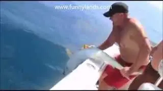 Shark Revenge / Attack