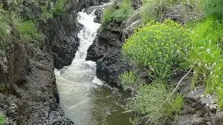 Голаны. Горные ручьи Завитан- Мешушим. Водопады 2ч.