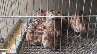 trim 3662FFA6 C2C5 4491 8EF6 7271C6F9CCD1