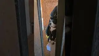 Возьми меня на ручки 