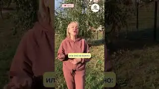 Как сказать по-немецки «много»? Фразы на немецком для начинающих. Viel oder viele auf deutsch