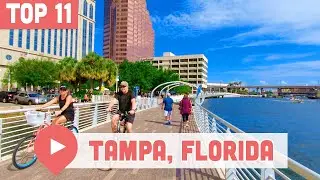 Best Things to Do in Tampa, Florida