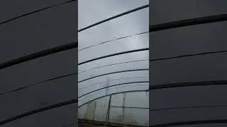 Тепличные хлопоты!.