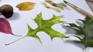 Painting Watercolor Leaf Tutorial 🍃 #watercolorbotanicals #watercolorleaves 🍃