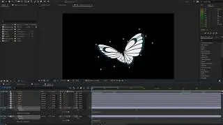 Adobe After Effects Ders-3 | Kanat Çırpma Animasyonu(Loop video nasıl yapılır ?)