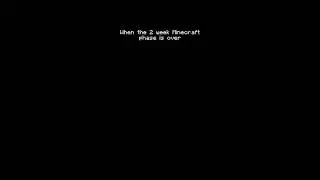 So Sad  -Minecraft 