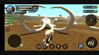 Let's play The Cheetah