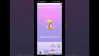MASSIVE  3 x 12km Egg Hatch! Best Pokémon from 12km Eggs in Pokémon GO #shorts
