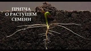 Притча о растущем семени.