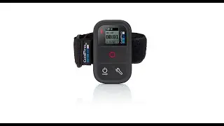 GoPro Smart Remote