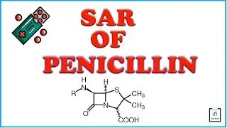 SAR of Penicillin