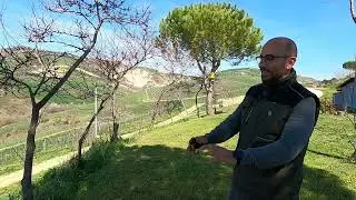 Vineyard Walk at Cirelli