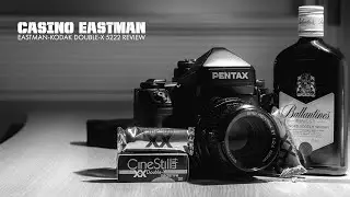Casino Eastman | Eastman Double-X 5222 Review