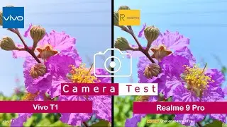 Vivo T1 vs Realme 9 Pro | Camera Comparison | Camera Test | |