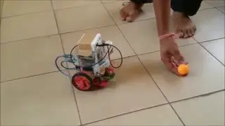 Image Based Path Planning Robot