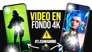 Como Poner VIDEO en FONDO y BLOQUEO De PANTALLA (Android/iOS)