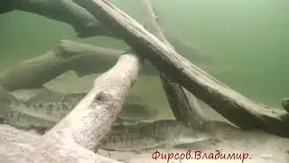 Выход?