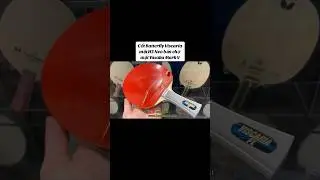 ✅🏓Bộ vợt bóng bàn cho bạn khách Đan Mạch #tabletennis #bovotbongban #butterfly #yasaka -#viscaria