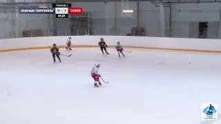 Прямые трансляции игр турнира по хоккею с шайбой 