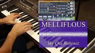 Qui Robinez Melliflous sound-set for Korg Pa4x- Part 2