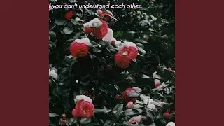 If you can't understand each other