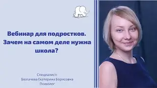 ;Зачем на самом деле нужна школа?