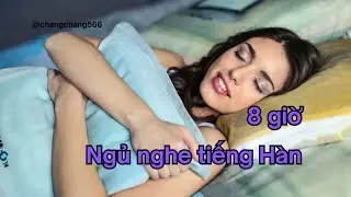 Nghe tiếng Hàn khi ngủ - 8 giờ | Học Tiếng Hàn