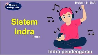 Sistem indra part 2 (Indra pendengaran) - Biologi kelas 11 SMA
