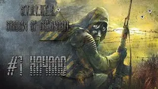 S.T.A.L.K.E.R. Тень Чернобыля   СТРИМ наберём  200 подписчиков часть №  1