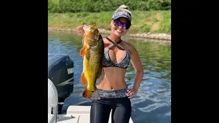 РУССКАЯ РЫБАЛКА 4. #shorts