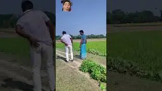 funny video teasing passersby #shoprts