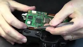 Nikon D80 ERR +split gear pt 2