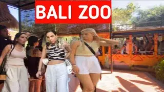 BALI ZOO‼️WAHANA WISATA ALAM DAN SATWA ⁉️#balizoo #bali
