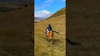 Horseback Riding in Cotopaxi National Park