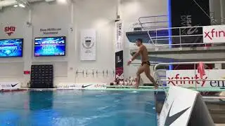 Briadam Herrera: 2018 1 Meter Diving USA National Champion