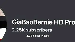 Subscribers 466-20k REVIEW