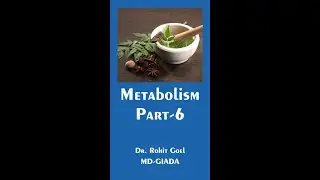 Metabolism series Part 6| Dr.Rohit Goel | how Metabolism is responsible for weight gain