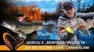 🤯🎣 Gościu z "Sewydża" - #Vlog 15 - Jak skutecznie łowić Cannibalami //@SavageGearPolska