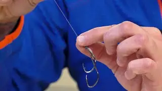 Traina col vivo: come si fa la montatura da pesca