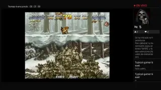 Metal slug