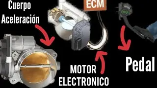 Cuerpo de aceleración - Se calibra o no ?