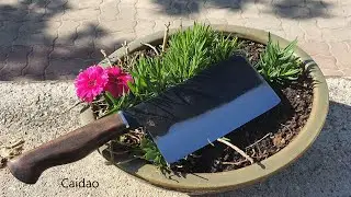 Caidao